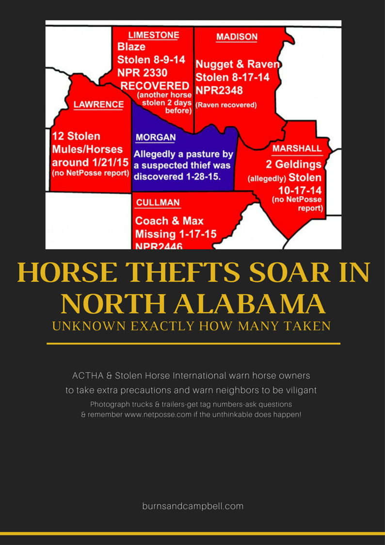 AL Horse Thefts ACTHA.png